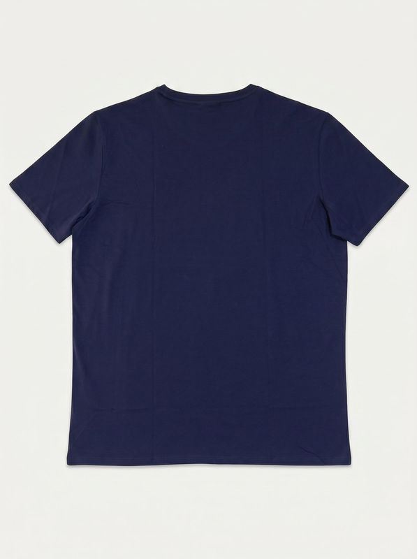 2. Solid color T-shirt with logo Blue Lacoste th6709