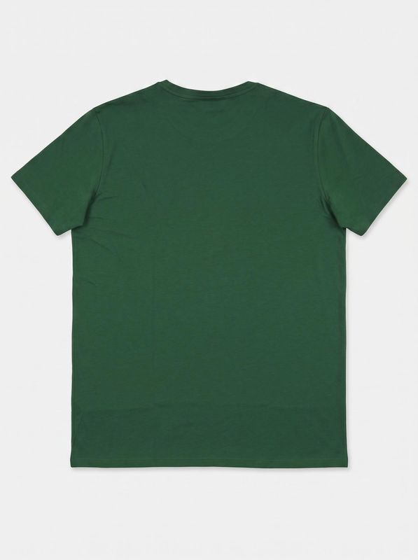 2. Solid color T-shirt with logo Green Lacoste th6709