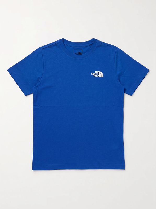 1. Logo T-shirt Sky blue The North Face nfoa8cva