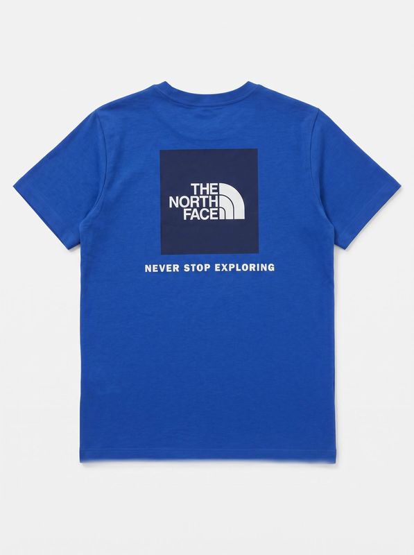 2. Logo T-shirt Sky blue The North Face nfoa8cva
