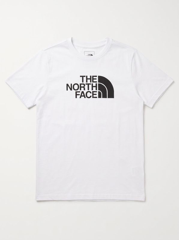 1. Logo T-shirt White The North Face nfoa8cz8