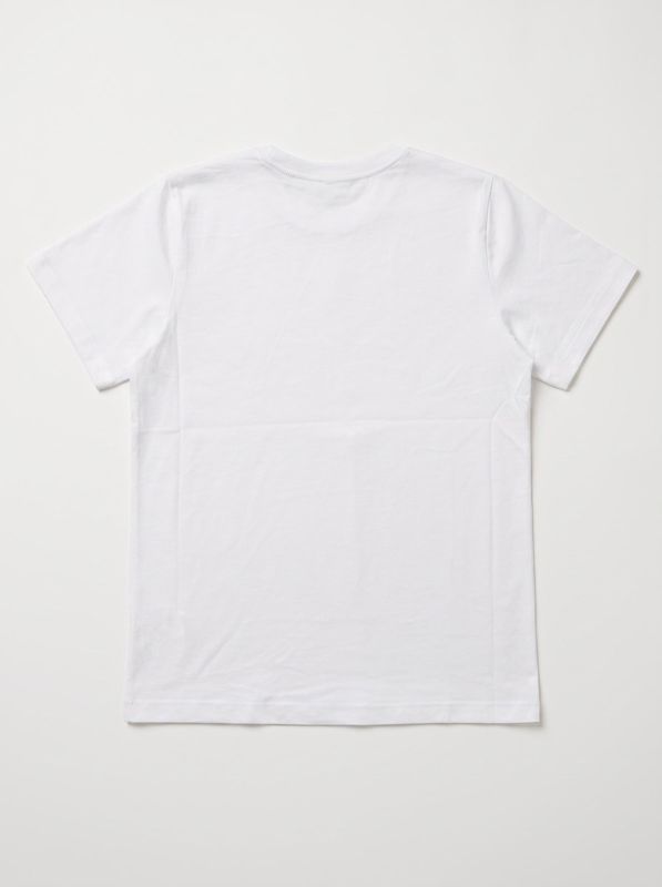 2. Logo T-shirt White The North Face nfoa8f9z