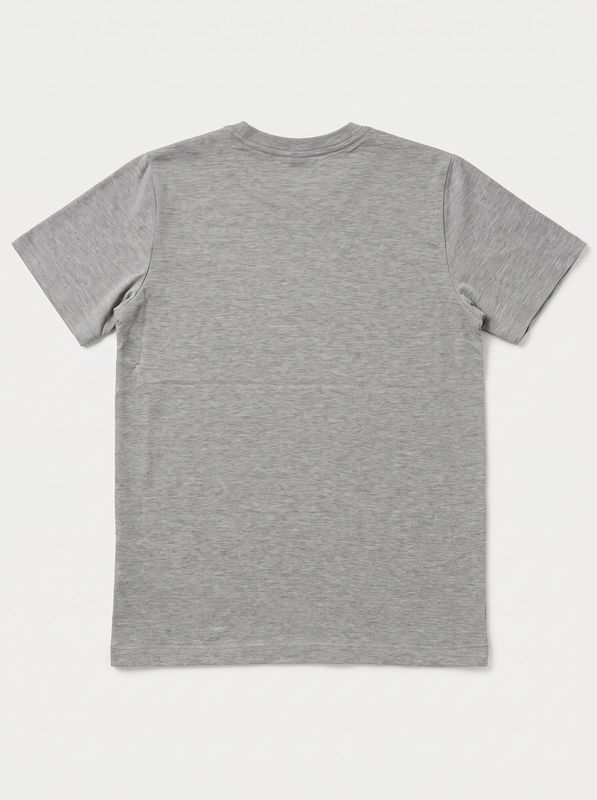 2. T-shirt logata Grigio The North Face nfoa8f9z