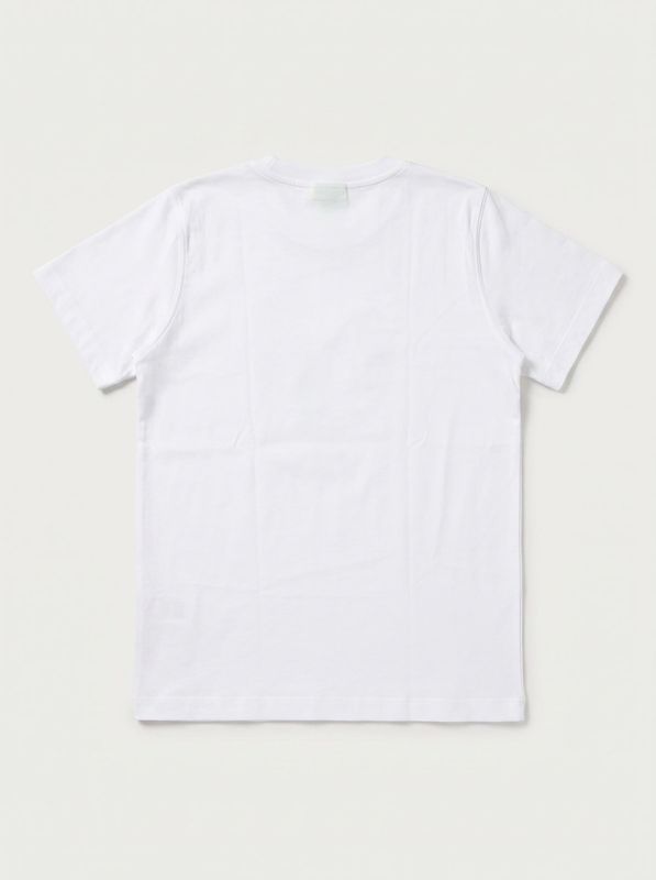 2. Solid color T-shirt White Disclaimer k58844