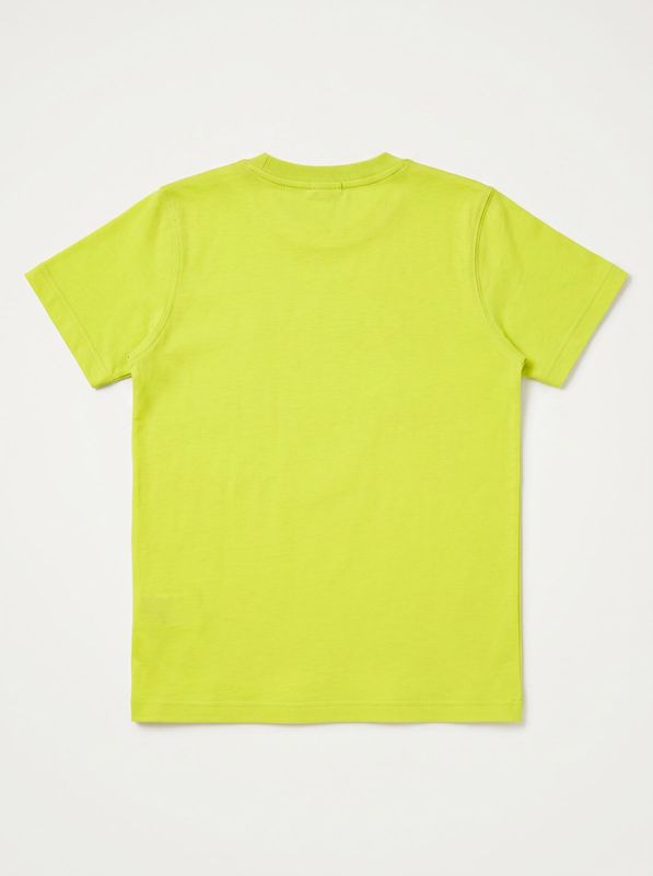 2. Solid color T-shirt with logo Lime Disclaimer k58802