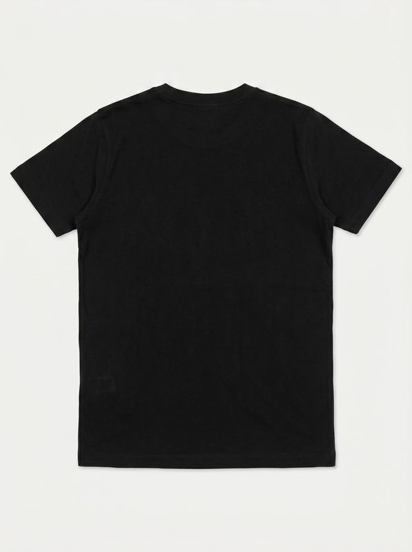 2. Solid color T-shirt with logo Black-White Disclaimer k58802