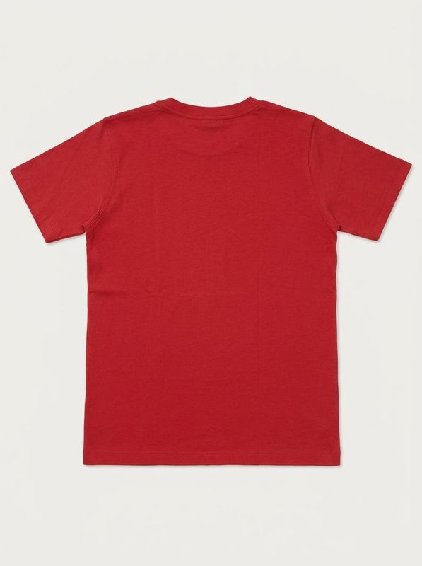 2. Solid color T-shirt with logo Red Disclaimer k58802