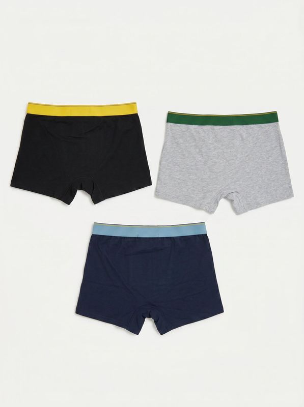 2. Boxer 3 pack Multicolor DS2 dsu0111