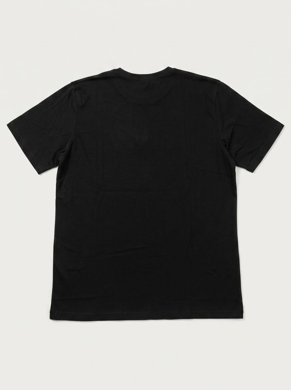 2. Solid color T-shirt with central logo Black DS2 ss26239