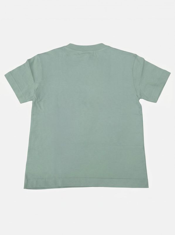 2. T-shirt logata Verde Palm Angels pbaa003s26jer004